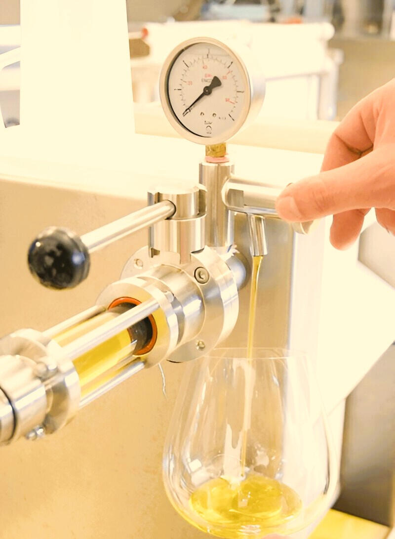 Production traditionnelle huile d’argan bio Abya Cosmetics Suisse